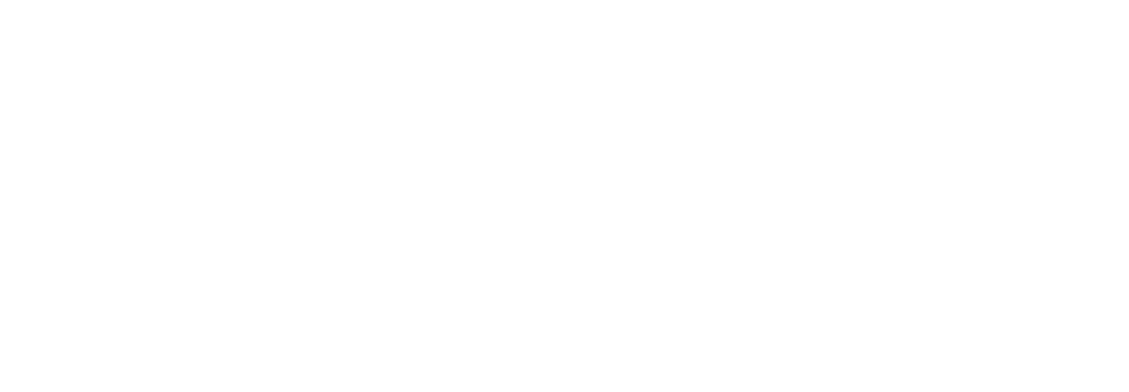 logo_blanc_polytechnique